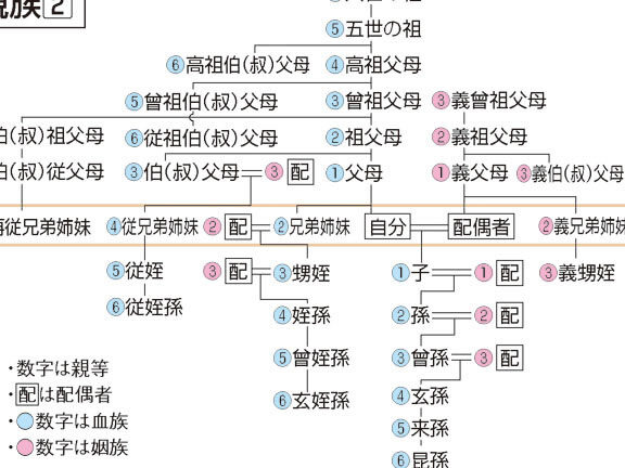 義理の息子 なんていう？呼称と関係性の理解